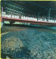 有機(jī)肥翻拋機(jī)選購(gòu)指南 高效翻堆設(shè)備推薦